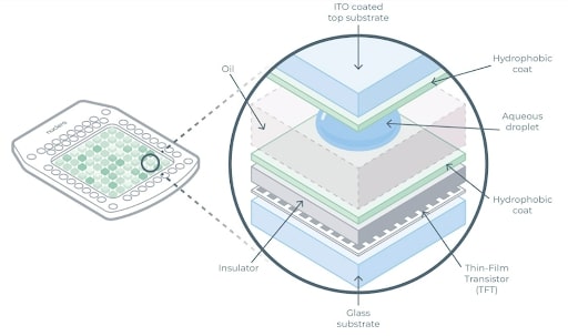 Microfluidics-based-image