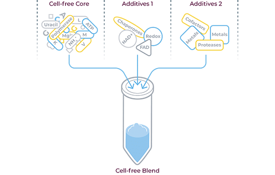 CFPS_Diagram_v09_550x350px