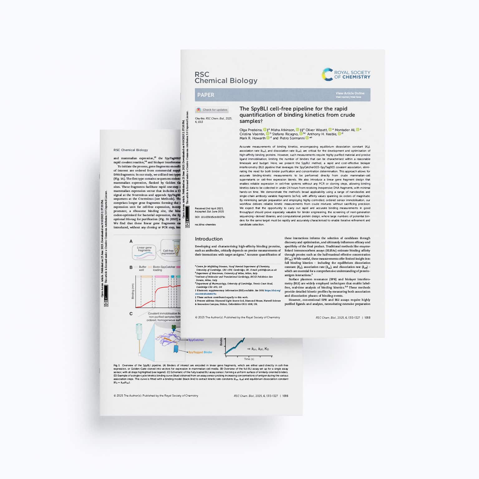 RSC Chemical Biology The SpyBLI cell-free pipeline for the rapid quantification of binding kinetics from crude samples