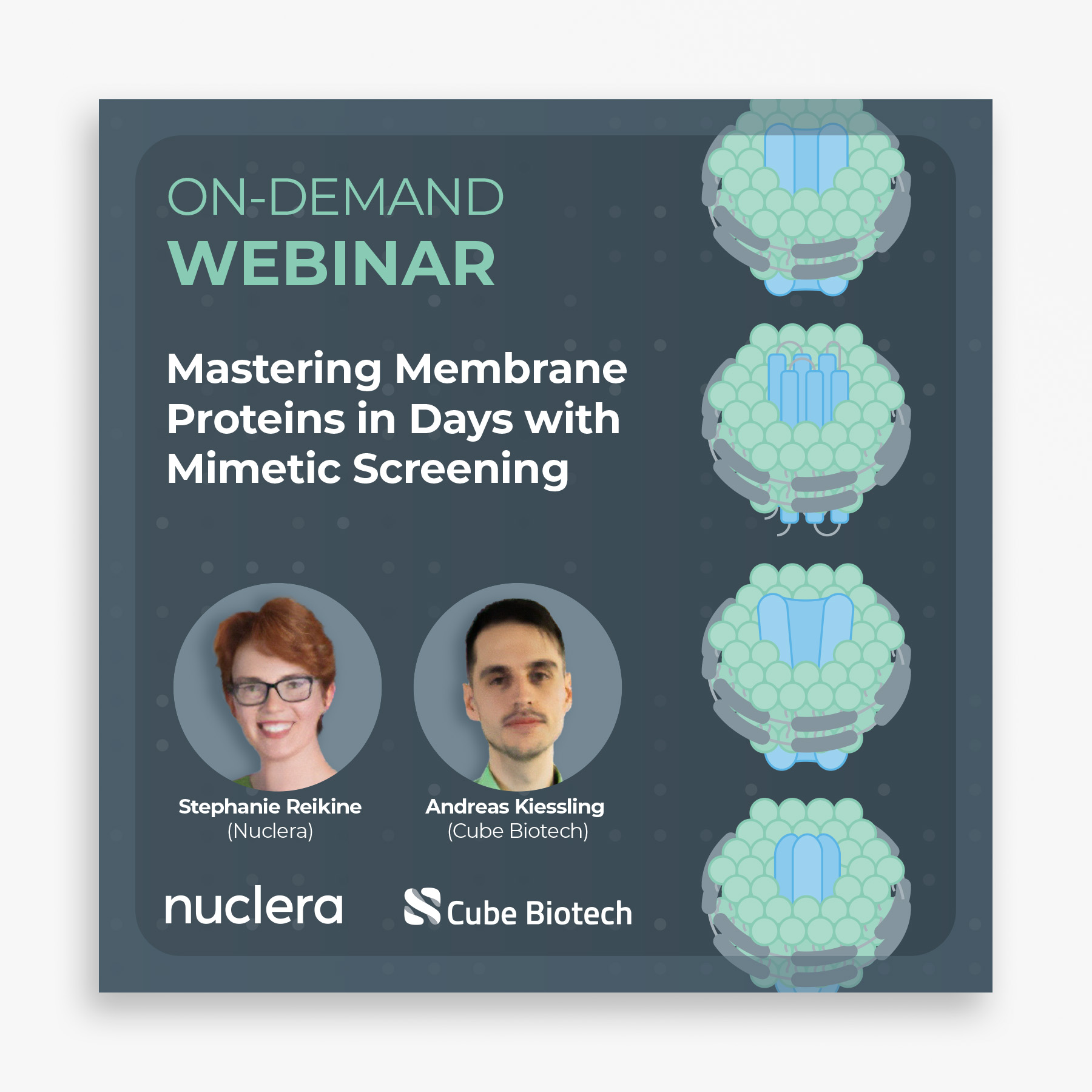 Mastering Membrane Proteins in days with mimetic screening