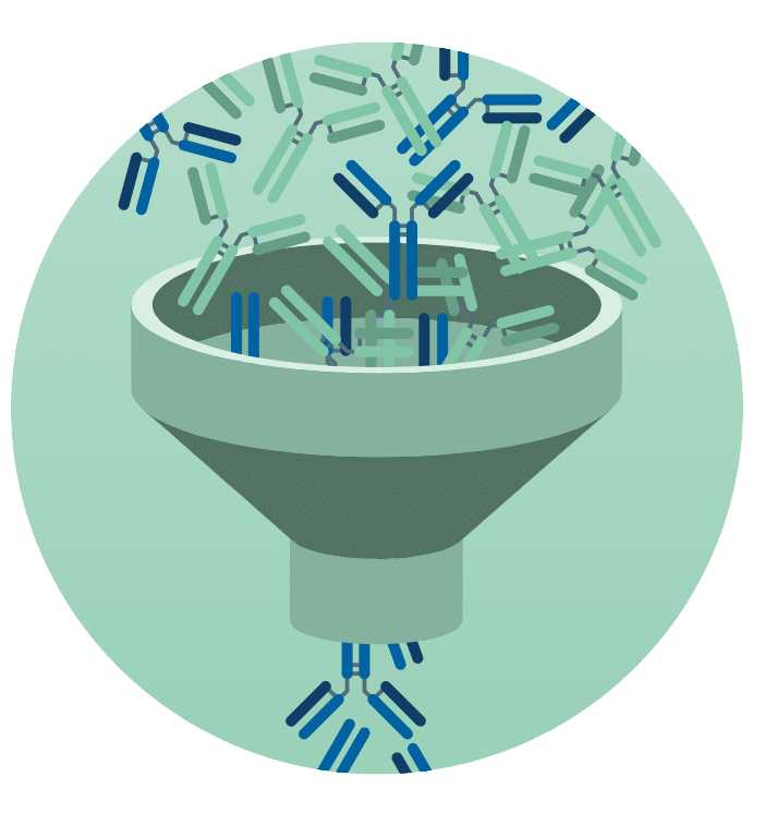 Antibody Services Icon